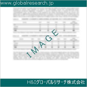 グローバルリサーチ調査資料のイメージ